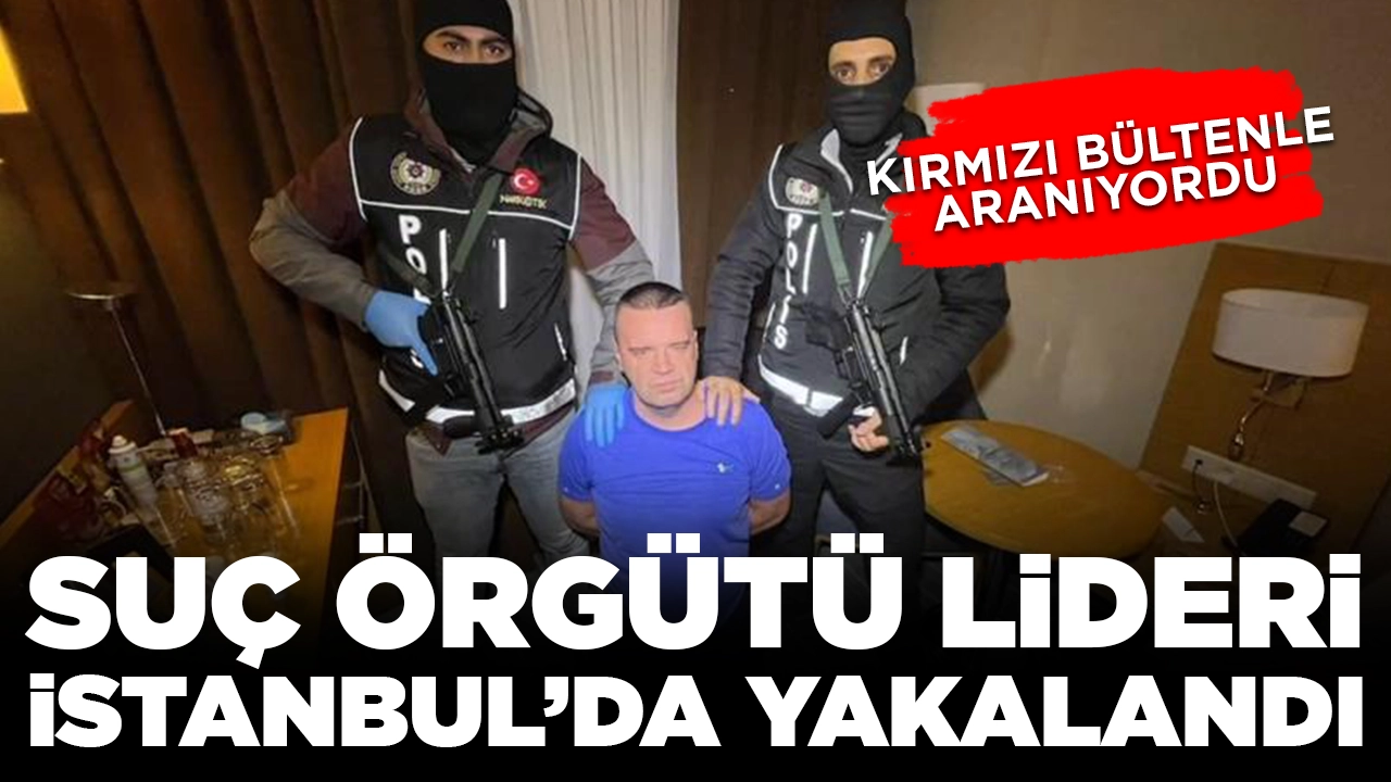 Kırmızı bültenle aranıyordu: Suç örgütü lideri İstanbul'da yakalandı