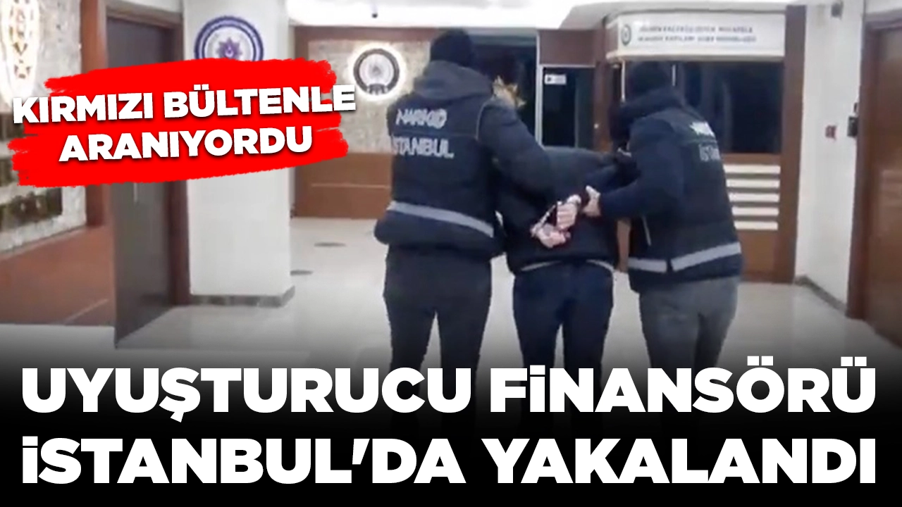 Kırmızı bültenle aranıyordu: Uyuşturucu finansörü İstanbul'da yakalandı