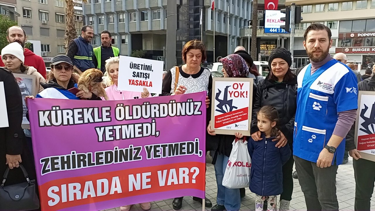 Aydın'daki köpek katliamına protesto: 'Katliam değil çözüm istiyoruz'