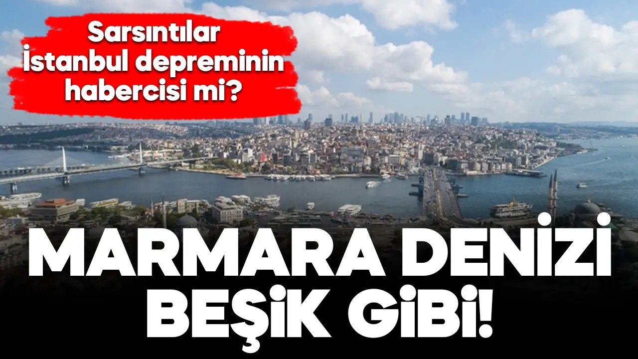 Marmara Denizi'ndeki sarsıntılar olası İstanbul depreminin habercisi mi?