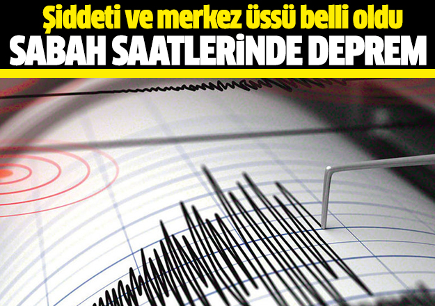 Muğla'da 4.2 şiddetindeki deprem paniğe sebep oldu