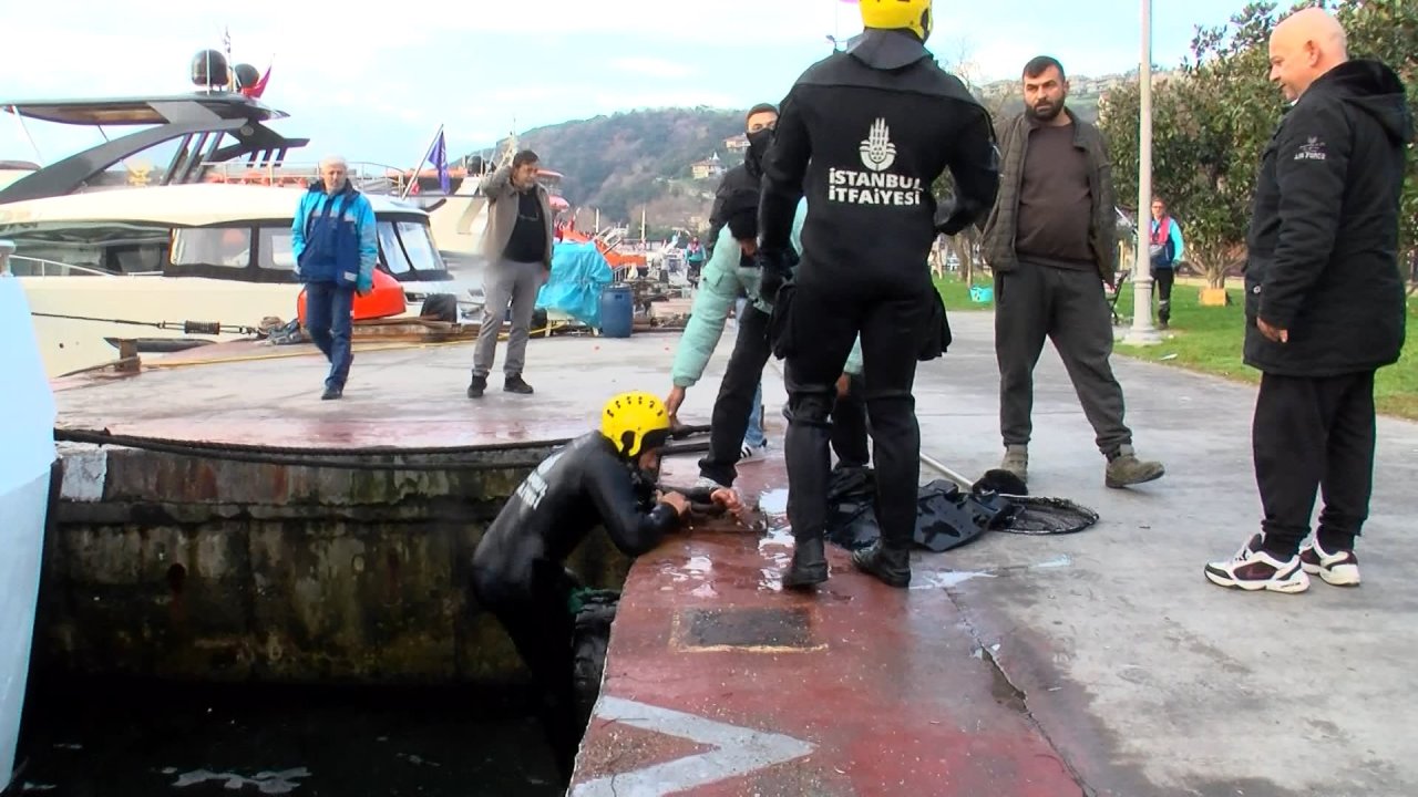 Beşiktaş'ta dalgıçlı kedi kurtarma operasyonu