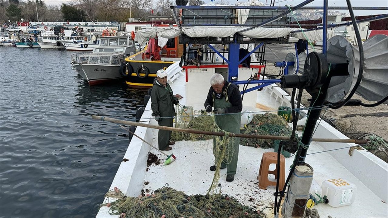 Tekirdağlı balıkçılar yeni yılda bol hamsi ve istavrit bekliyor