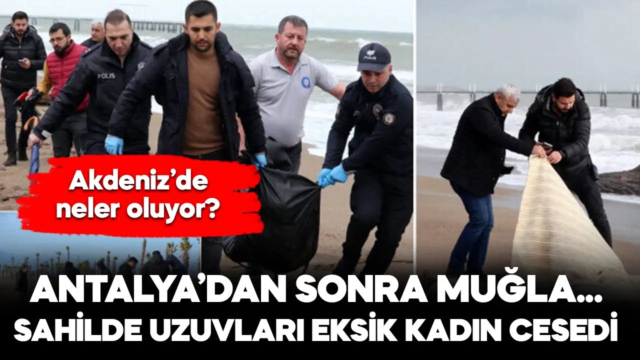 Antalya'dan sonra Muğla! Sahilde kadın cesedi bulundu
