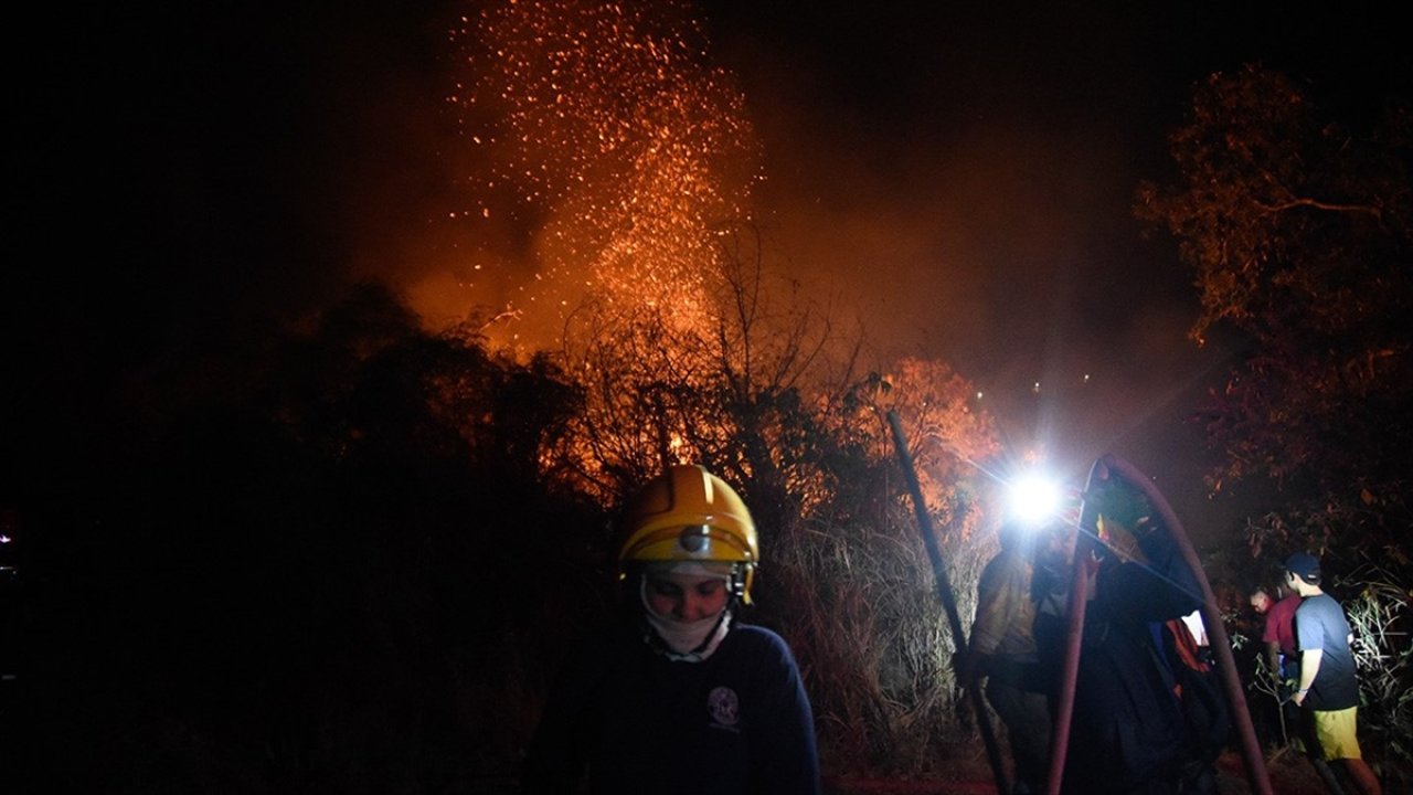 Kolombiya orman yangınları büyüyor: Uluslararası yardım talep edecek