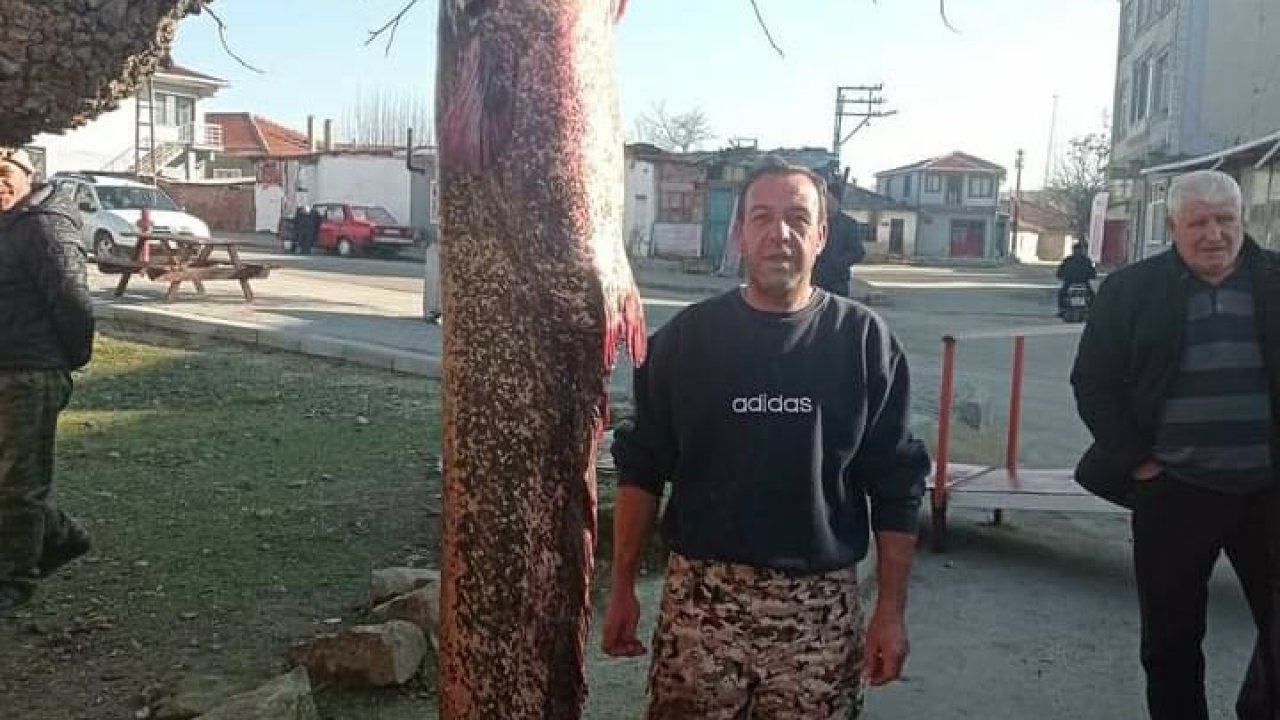 2 metre 30 santimlik yayın balığı yakaladı