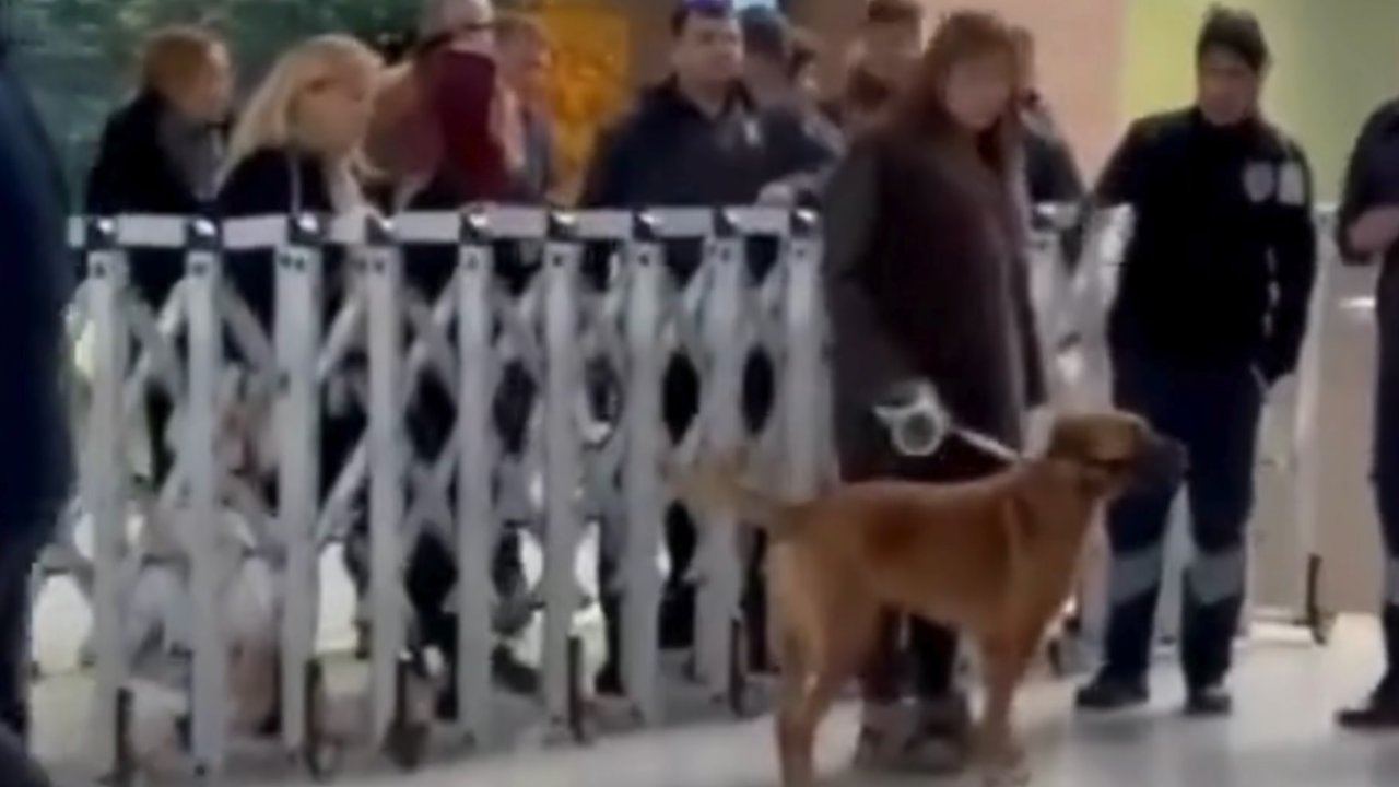 Köpeğiyle Marmaray'a binmek istedi, ortalık karıştı