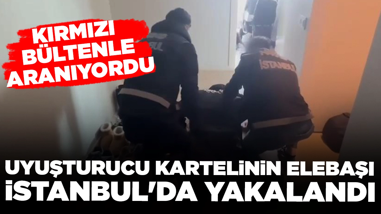 Kırmızı bültenle aranıyordu: Uyuşturucu kartelinin elebaşı İstanbul'da yakalandı
