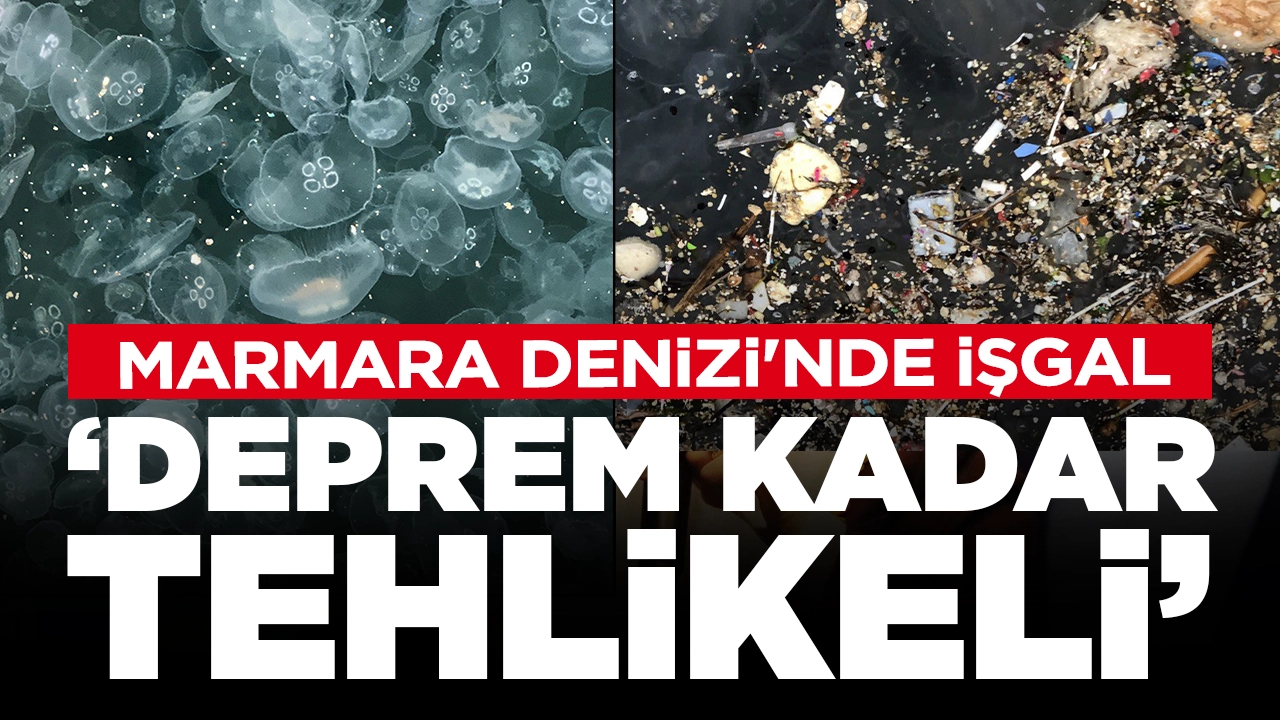 Marmara Denizi'nde endişe verici görüntü: 'Deprem kadar tehlikeli'