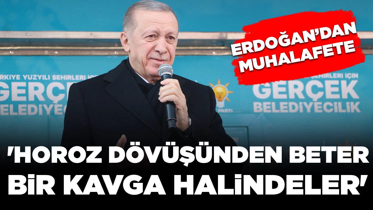 Cumhurbaşkanı Erdoğan'dan muhalefete: 'Horoz dövüşünden beter bir kavga halindeler'