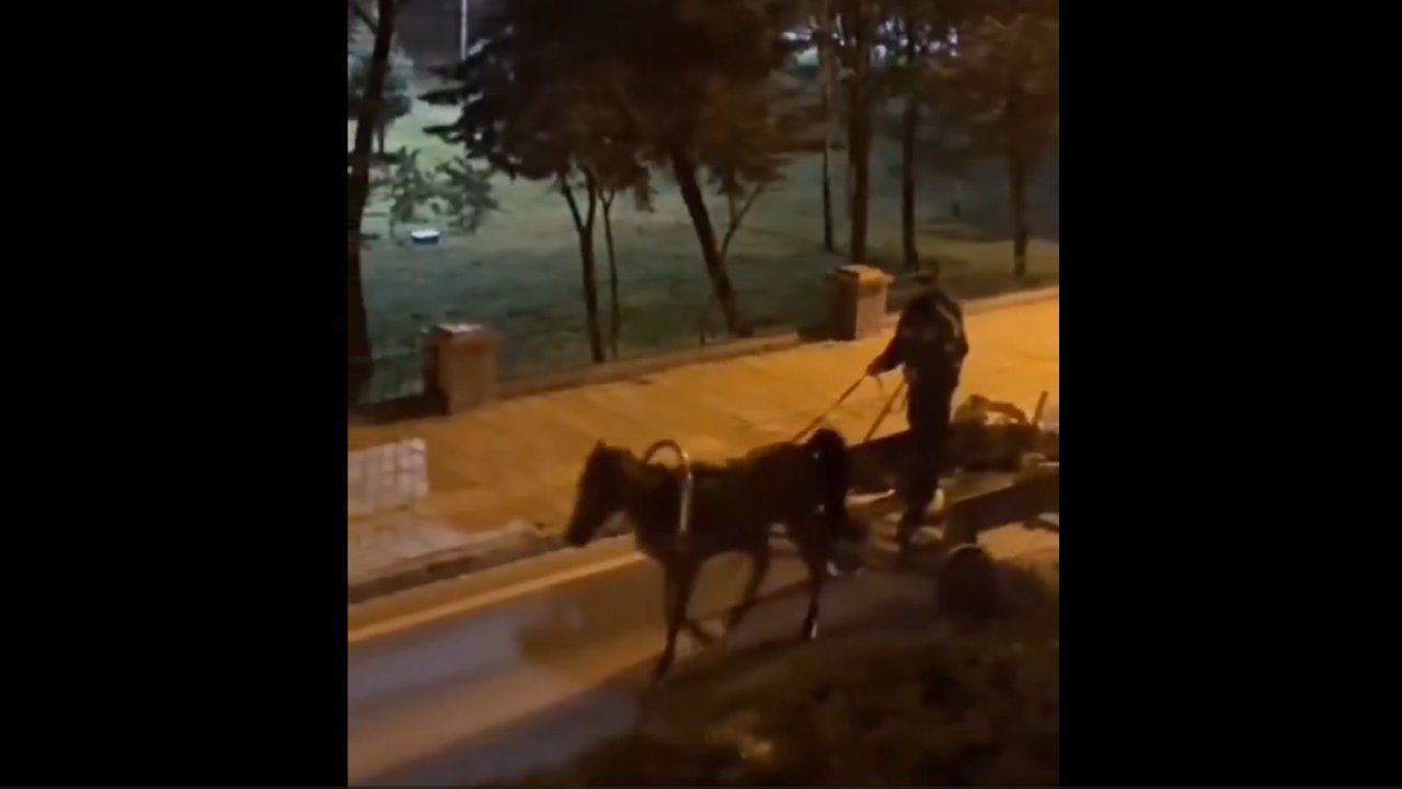 Sürücü alkollü çıktı, at arabasını bekçiler sürdü..!