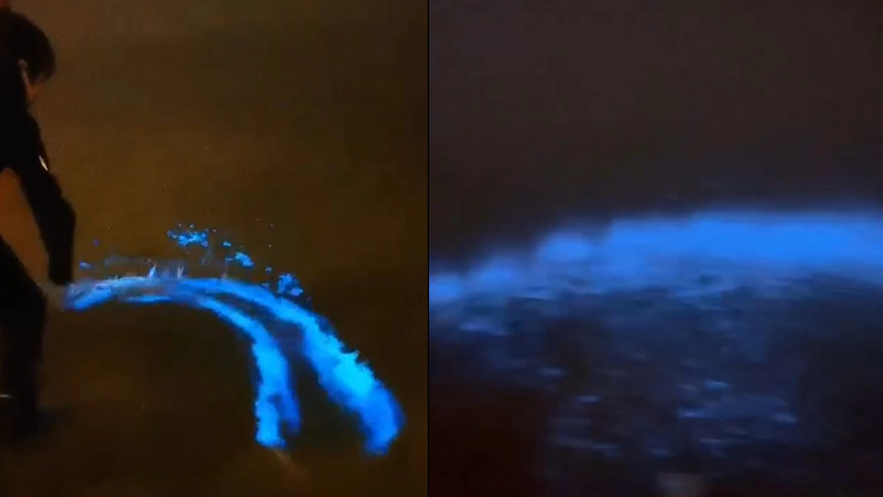 Mudanya sahilinde görülen mavi ışığın gizemi ortaya çıktı