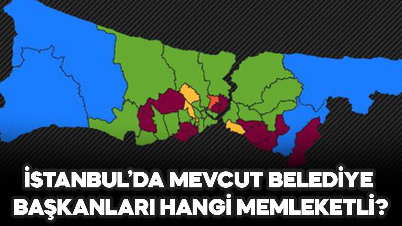 İstanbul'daki mevcut ilçe belediye başkanları hangi memleketli?