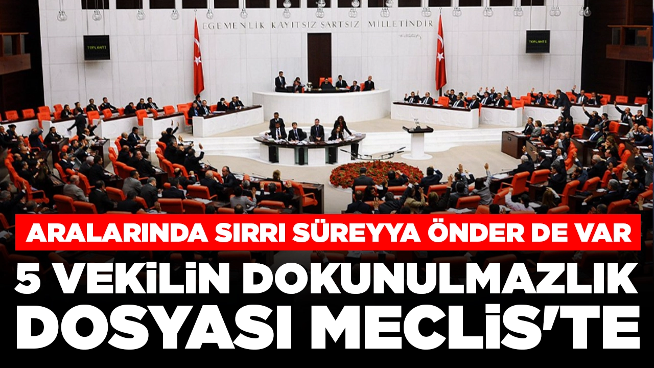 5 milletvekiline ait yeni dokunulmazlık dosyaları Meclis'te: Aralarında  Sırrı Süreyya Önder de var