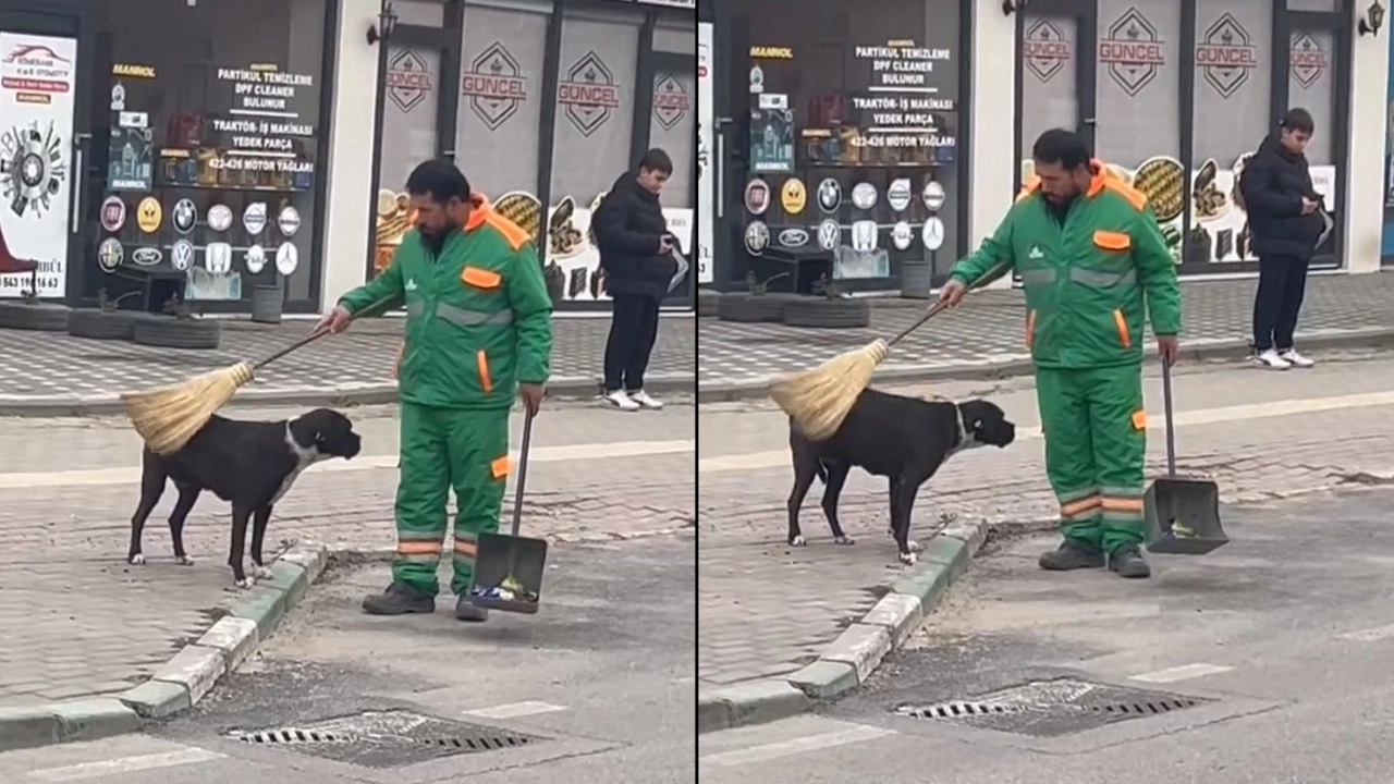Temizlik görevlisi sokak köpeğini süpürgesi ile kaşıyıp sevdi: O anlar yürekleri ısıttı
