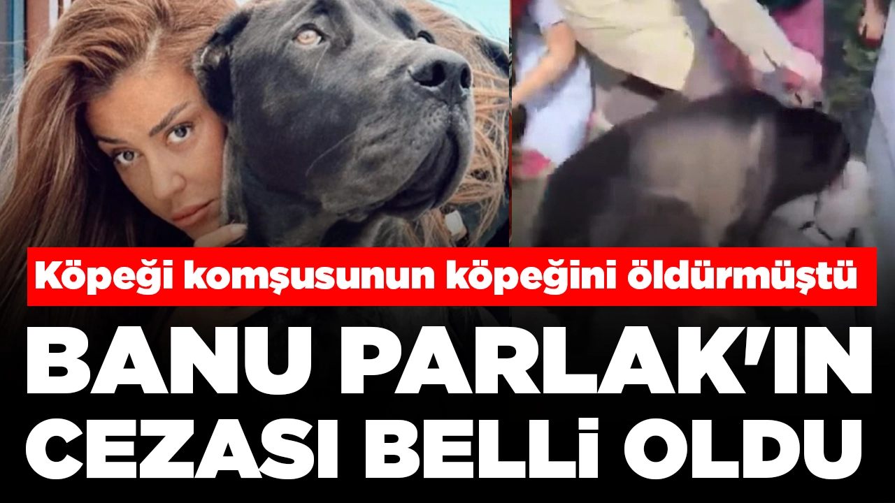 Köpeği komşusunun köpeğini öldürmüştü: Banu Parlak'ın cezası belli oldu