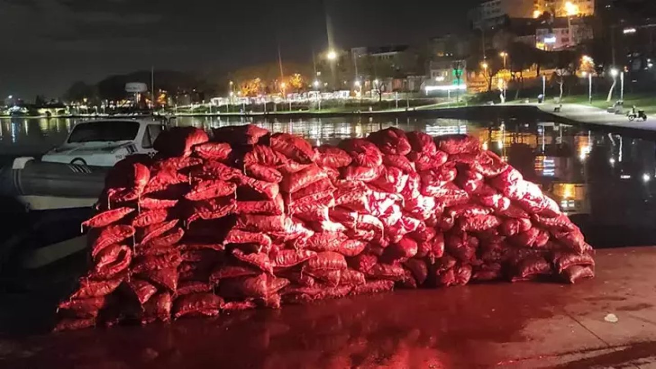 İstanbul'da kaçak yollarla avlanan midyeler denize bırakıldı