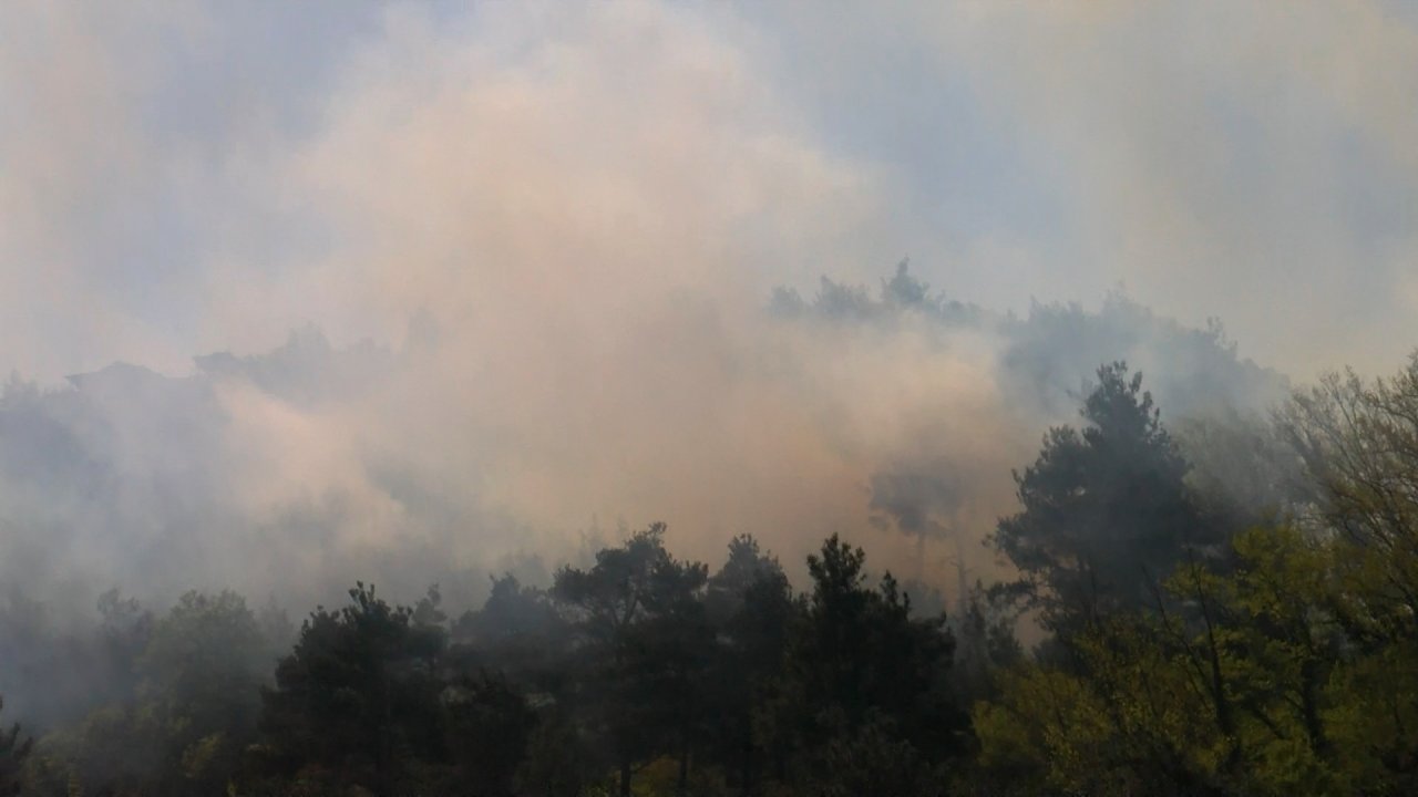 Bursa'da orman yangını: Ekipler bölgede