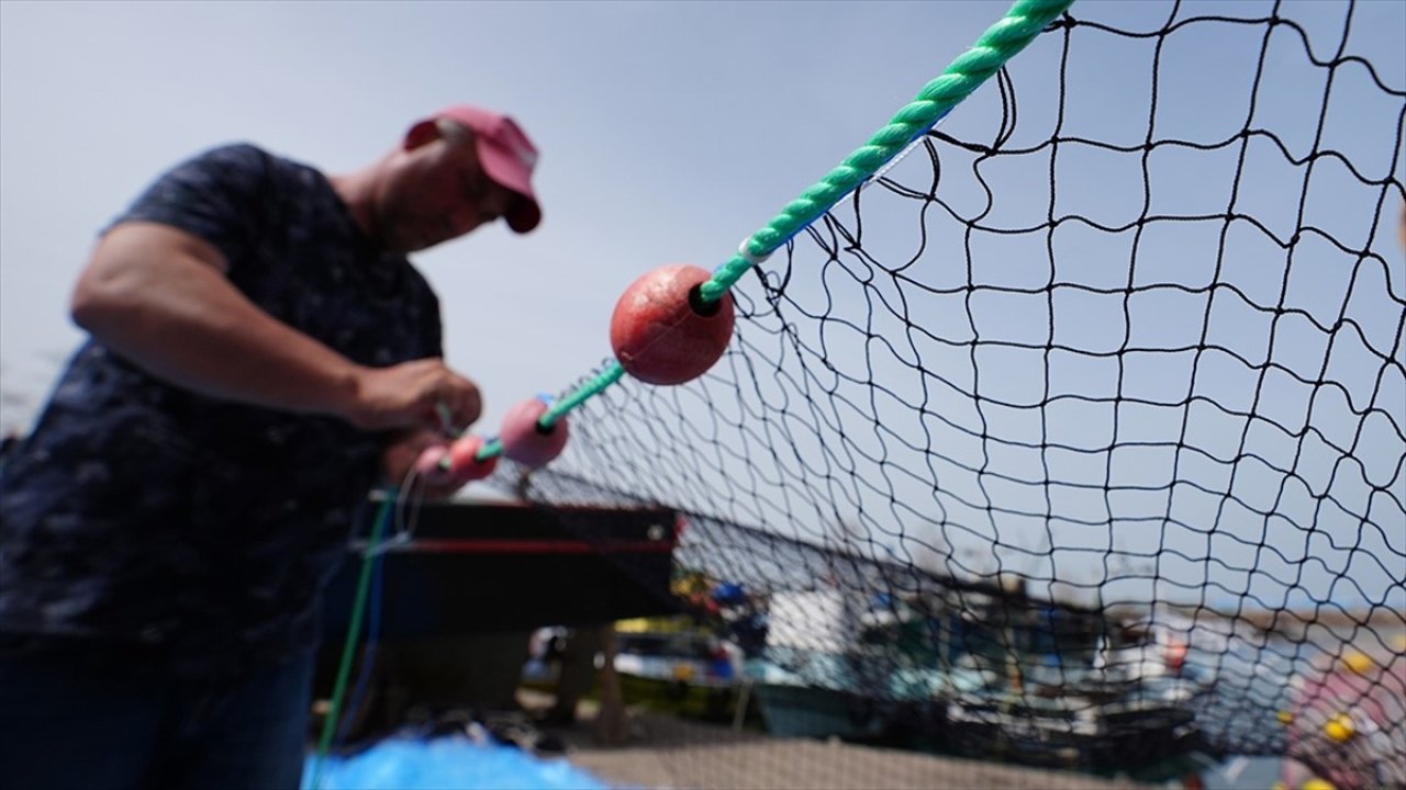 Balıkçılıkta av sezonu yasağı başlıyor