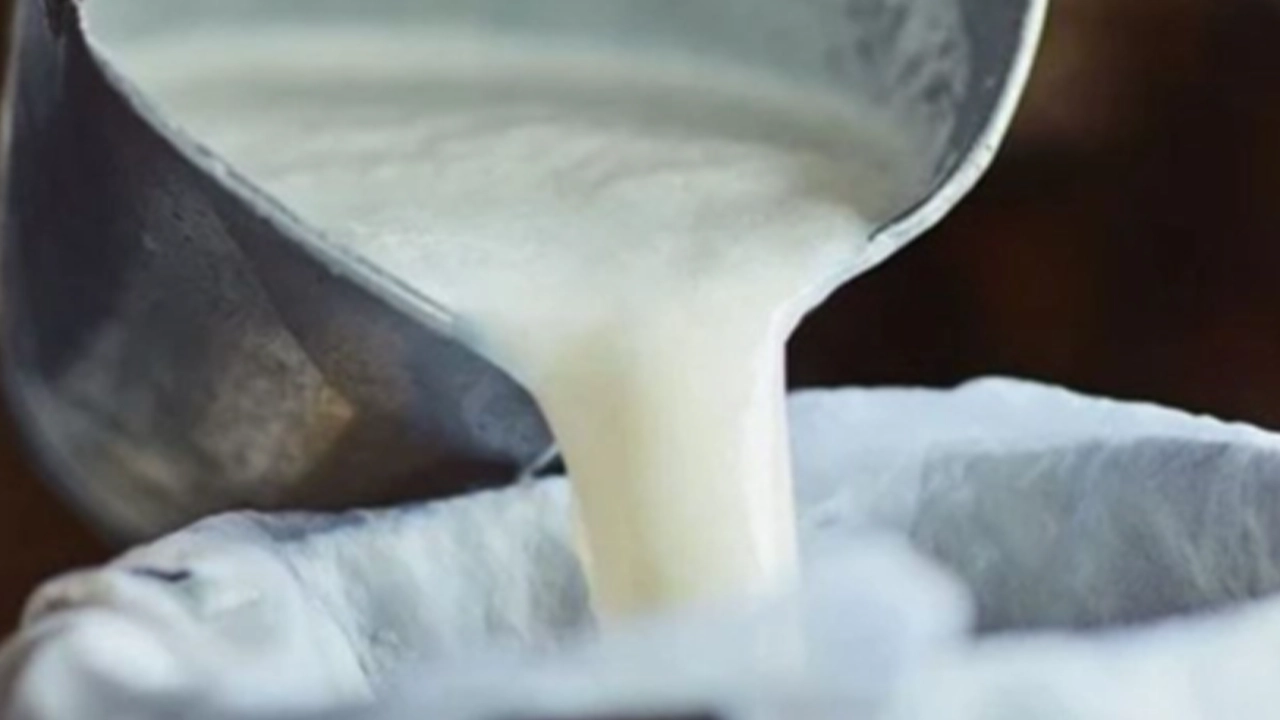 Ulusal Süt Konseyi açıkladı: Çiğ süt tavsiye fiyatı belli oldu