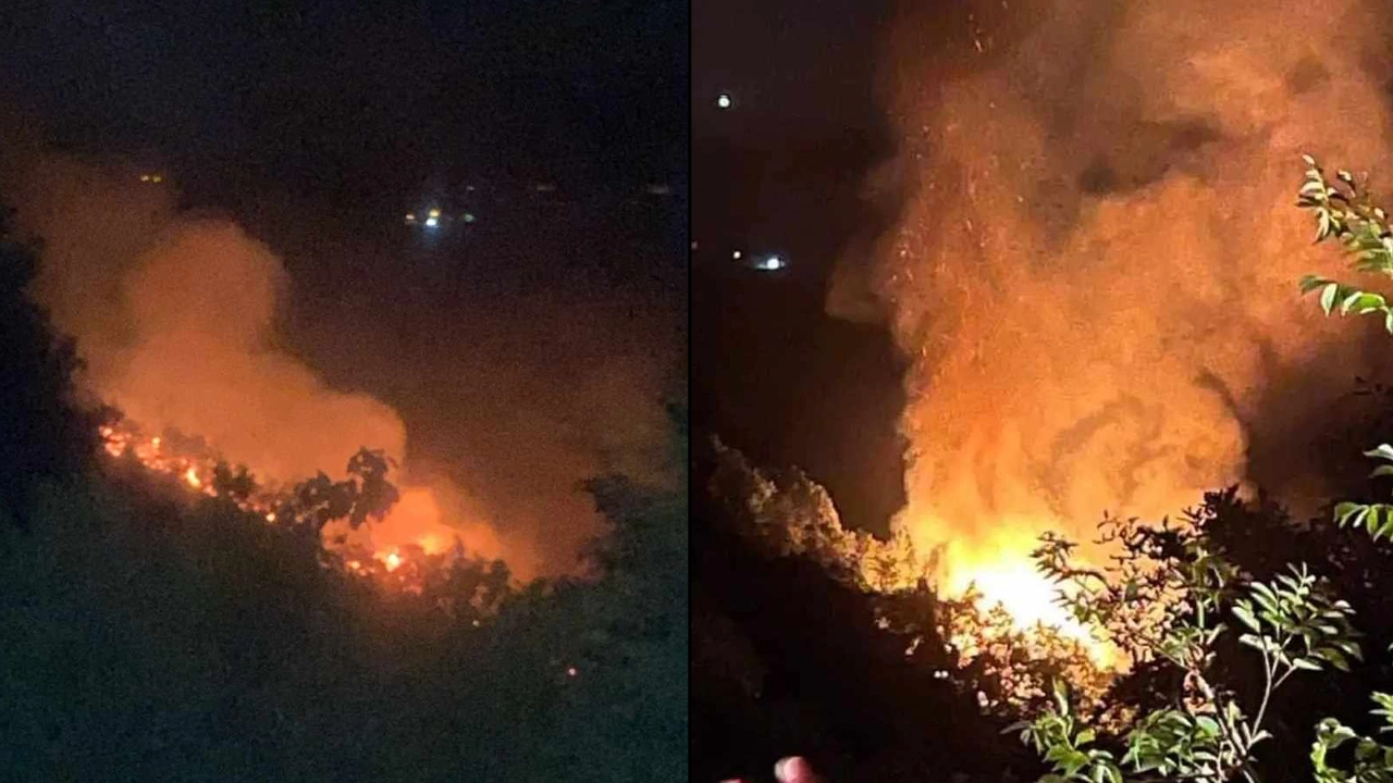 Yalova'da çıkan orman yangını saatler sonra söndürüldü: 2 gözaltı