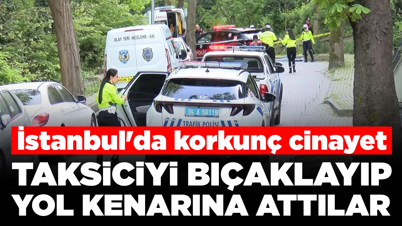 İstanbul'da korkunç cinayet: Taksiciyi bıçaklayıp yol kenarına attılar