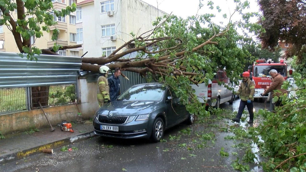 Maltepe’de yağış ve rüzgar etkisi: Ağaç park halindeki araçların üzerine devrildi