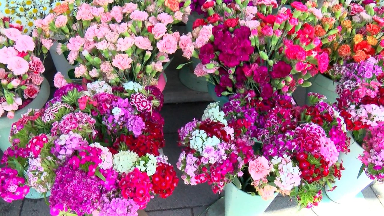 Çiçekçilerdeki fiyatlar Anneler Günü’nde cep yakıyor