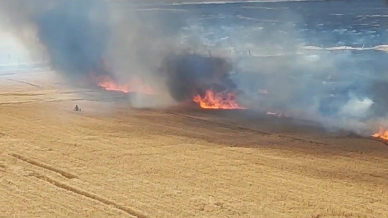 Mayınlı bölgede yangın çıktı: Buğday tarlası küle döndü