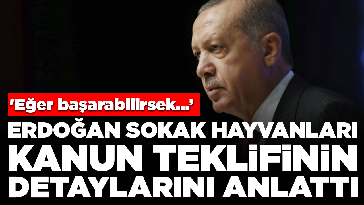 Erdoğan sokak hayvanları kanun teklifinin detaylarını anlattı: 'Eğer başarabilirsek, bir sonraki adıma ihtiyaç kalmayacak'