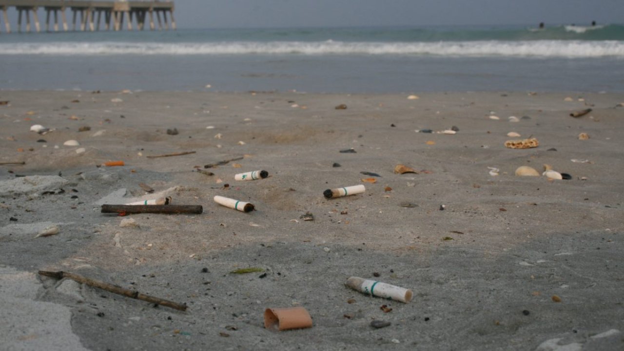İstanbul kıyılarındaki izmarit kirliliği mikroplastik yükünü günden güne arttırıyor