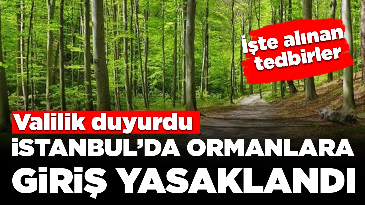 Valilik duyurdu: İstanbul’da ormanlık alanlara girişler yasaklandı