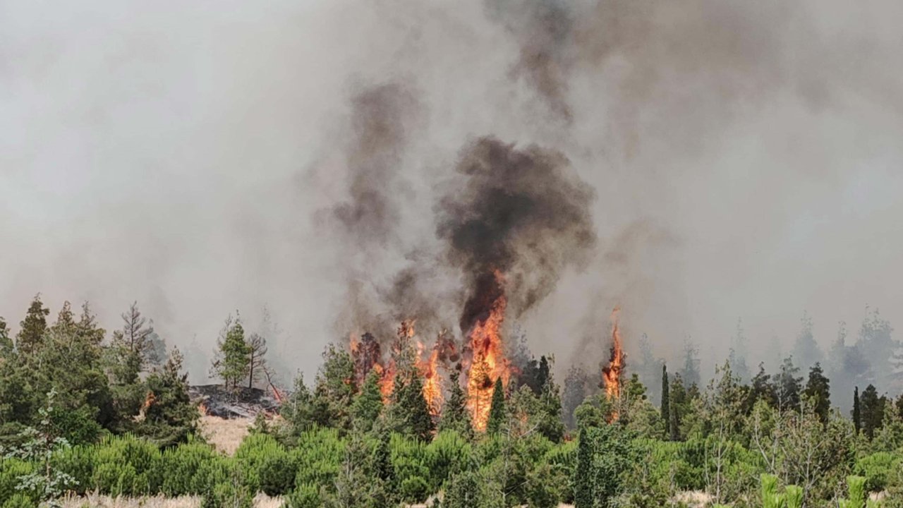 Denizli'de korkutan orman yangını