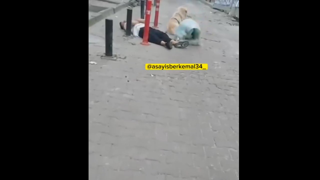İstanbul'da yere yığılan bir şahsın köpeği, sahibinin yanından bir saniye bile ayrılmadı.