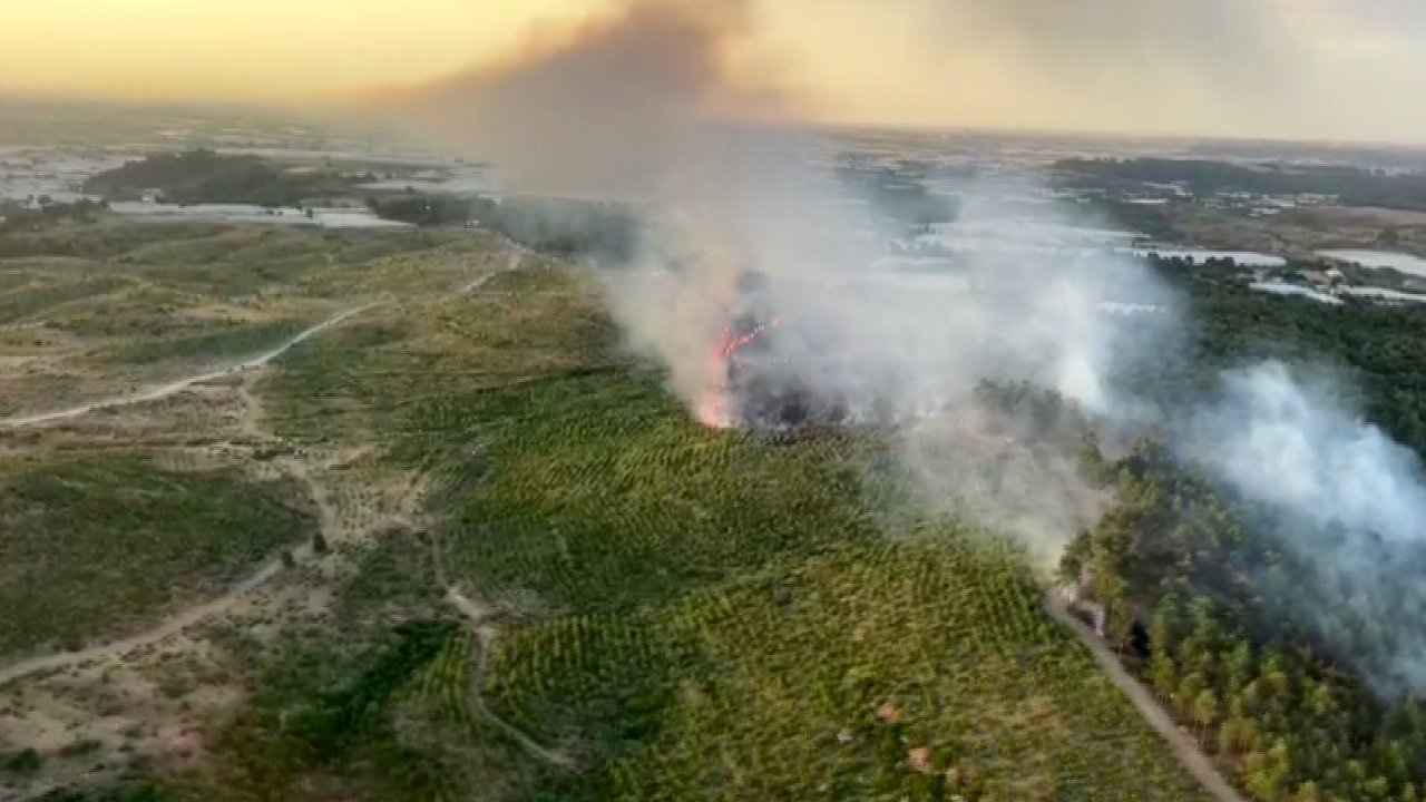 Antalya'da orman yangını: 5 hektar alan zarar gördü