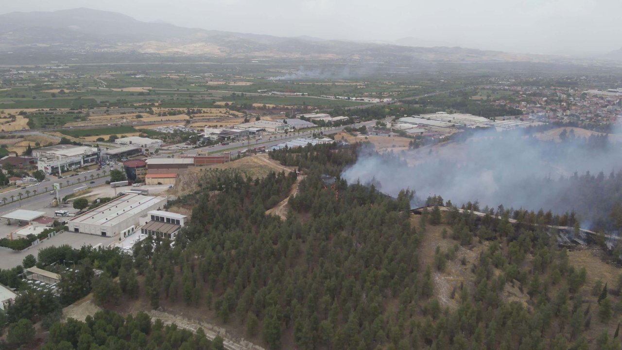 Denizli'deki orman yangının çıkış sebebi belli oldu: 3 kişi gözaltında