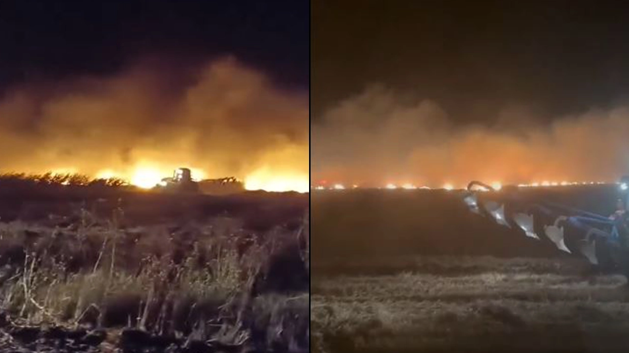 Mardin'de tarlada yangın: 110 dönüm arazi kül oldu