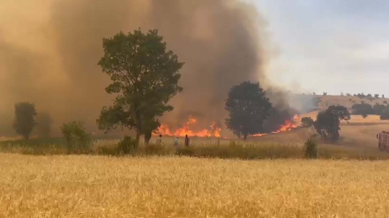Üç ilde orman yangını: Havadan ve karadan müdahale ediliyor