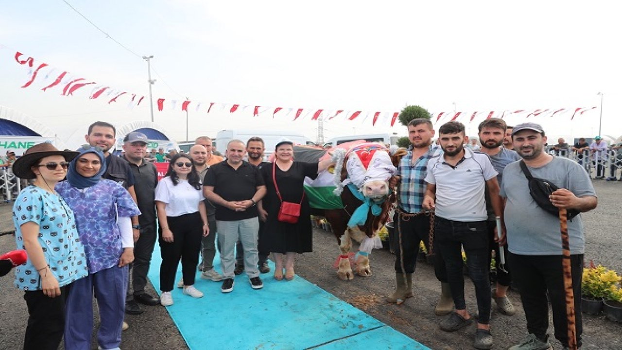 Sultangazi Belediyesi 'En Güzel Kurban Yarışması' düzenledi