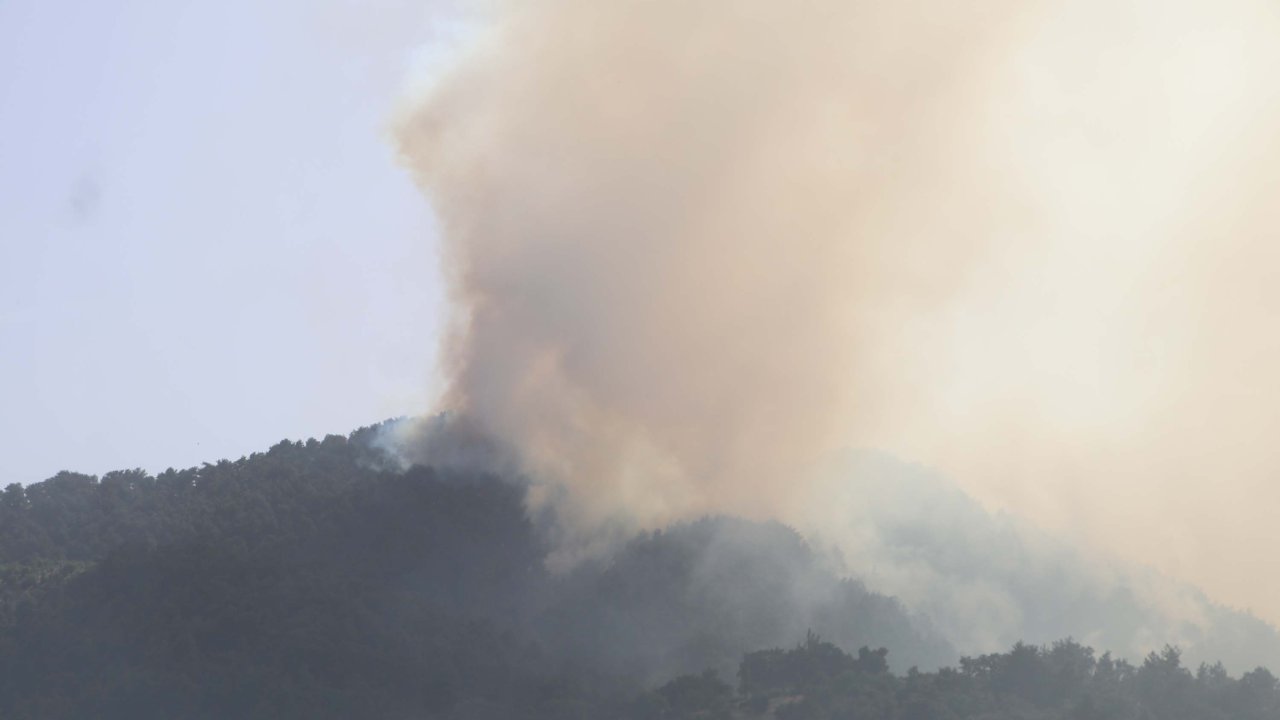 Denizli'de orman yangını! Mahalle boşaltılıyor