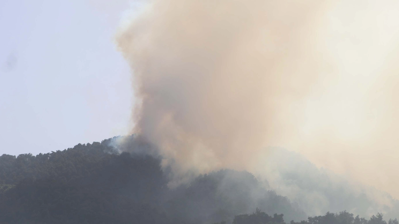 Denizli'deki orman yangını kontrol altına alınamadı: Tahliyeler devam ediyor