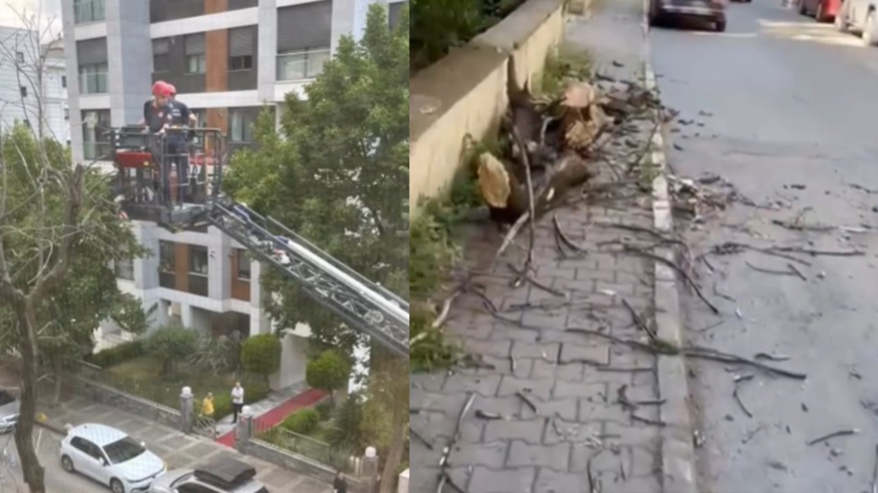 Şiddetli fırtına Göztepe'de ağacı devirdi, 2 otomobil hasar gördü