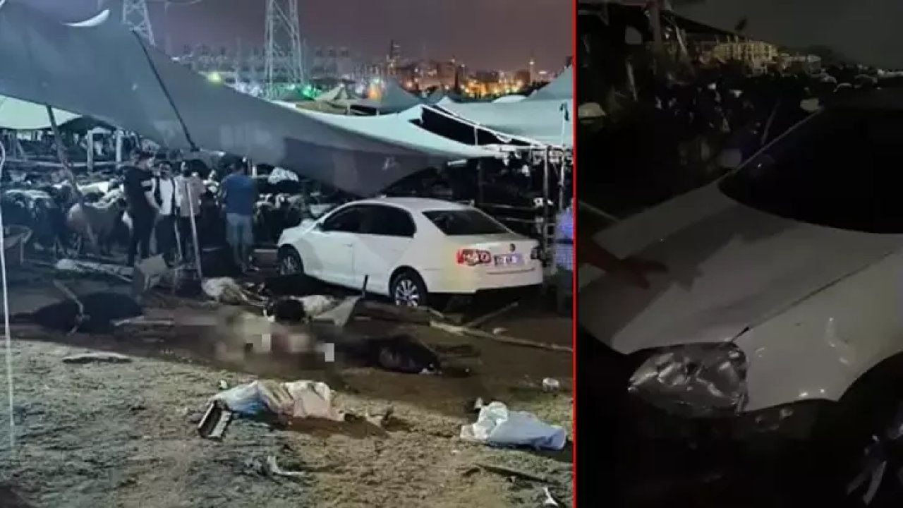 Otomobil hayvan pazarına daldı: 2'si ağır 8 yaralı, 7 kurbanlık öldü