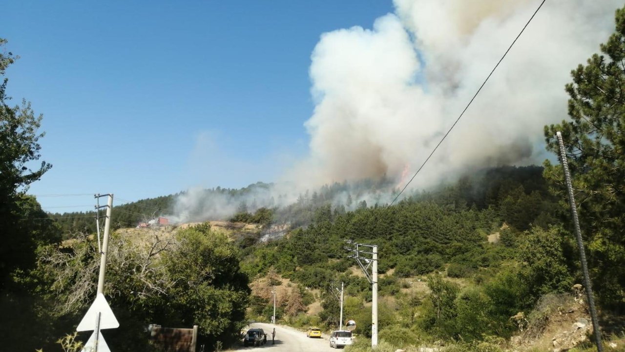 Spil Dağı'nda orman yangını