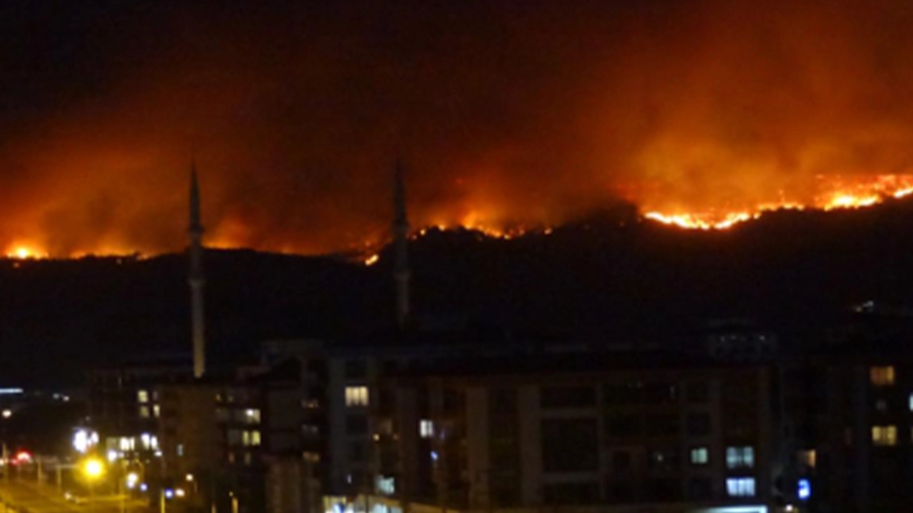 Çanakkale'de orman yangınının ilerlemesi durduruldu: 530 kişi tahliye edildi