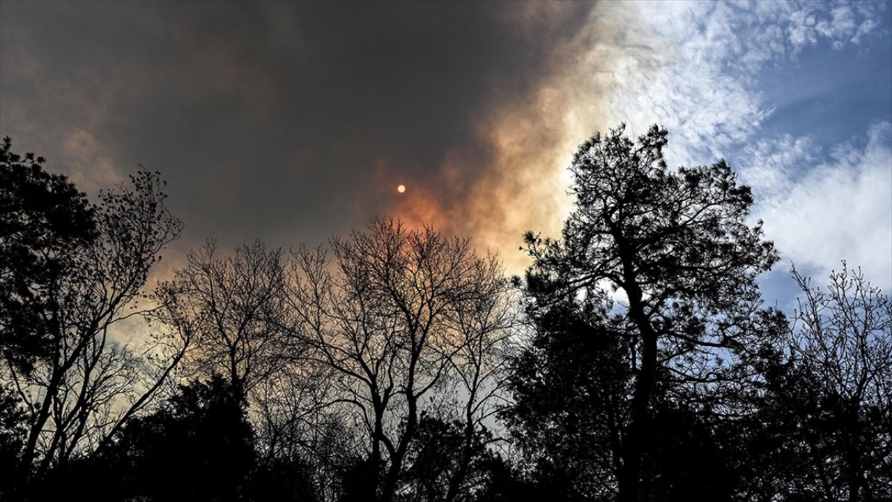 New Mexico'da başlayan orman yangınları nedeniyle OHAL ilan edildi