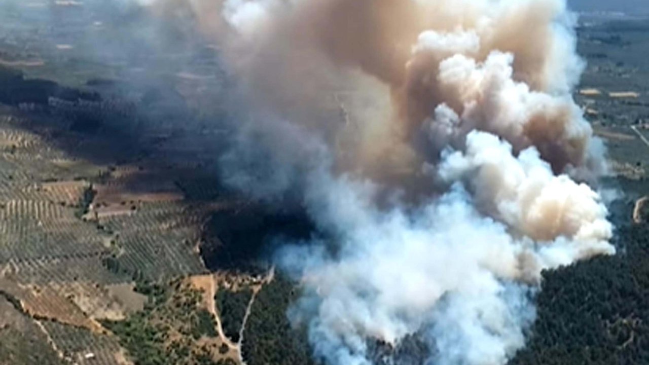 Manisa'da orman yangını çıktı! Yangına müdahale sürüyor