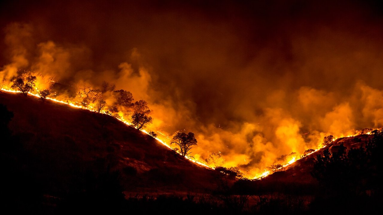 Orman yangınları neden çıkar ve nasıl önlenir?