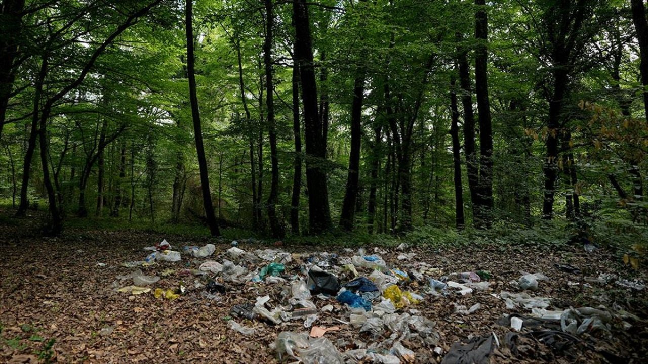 Bayram tatili sonrasında İstanbul'un birçok ormanlık alan ve plajlarında çöp yığını oluştu