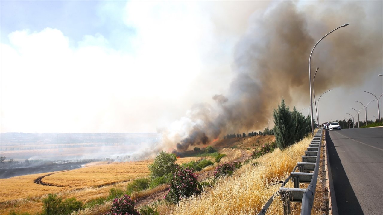 DEDAŞ'tan Diyarbakır ve Mardin'deki yangınla ilgili iddialara yanıt: Yangına elektrik telleri mi neden oldu?